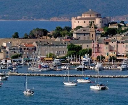 Appartement Plein Centre Saint Florent Face Au Port Eksteriør billede