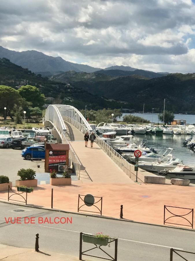 Appartement Plein Centre Saint Florent Face Au Port Eksteriør billede
